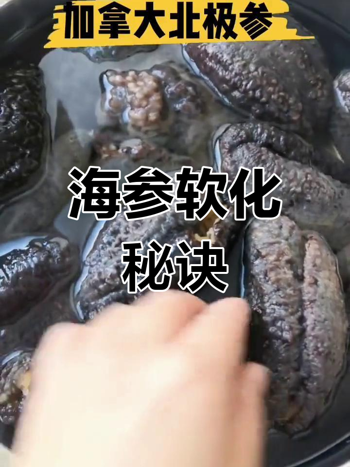 红极参泡发新法,小火慢煮更软糯,老人吃也轻松消化!