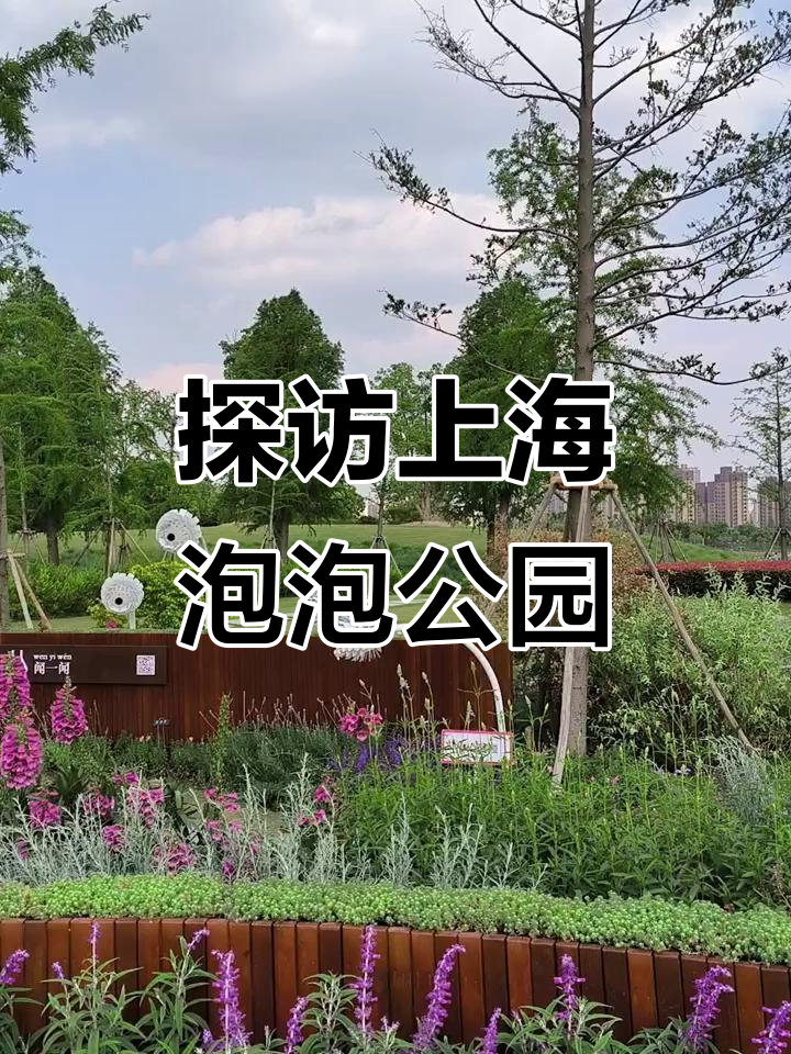 上海泡泡公园:探索“城市之鱼”的魅力