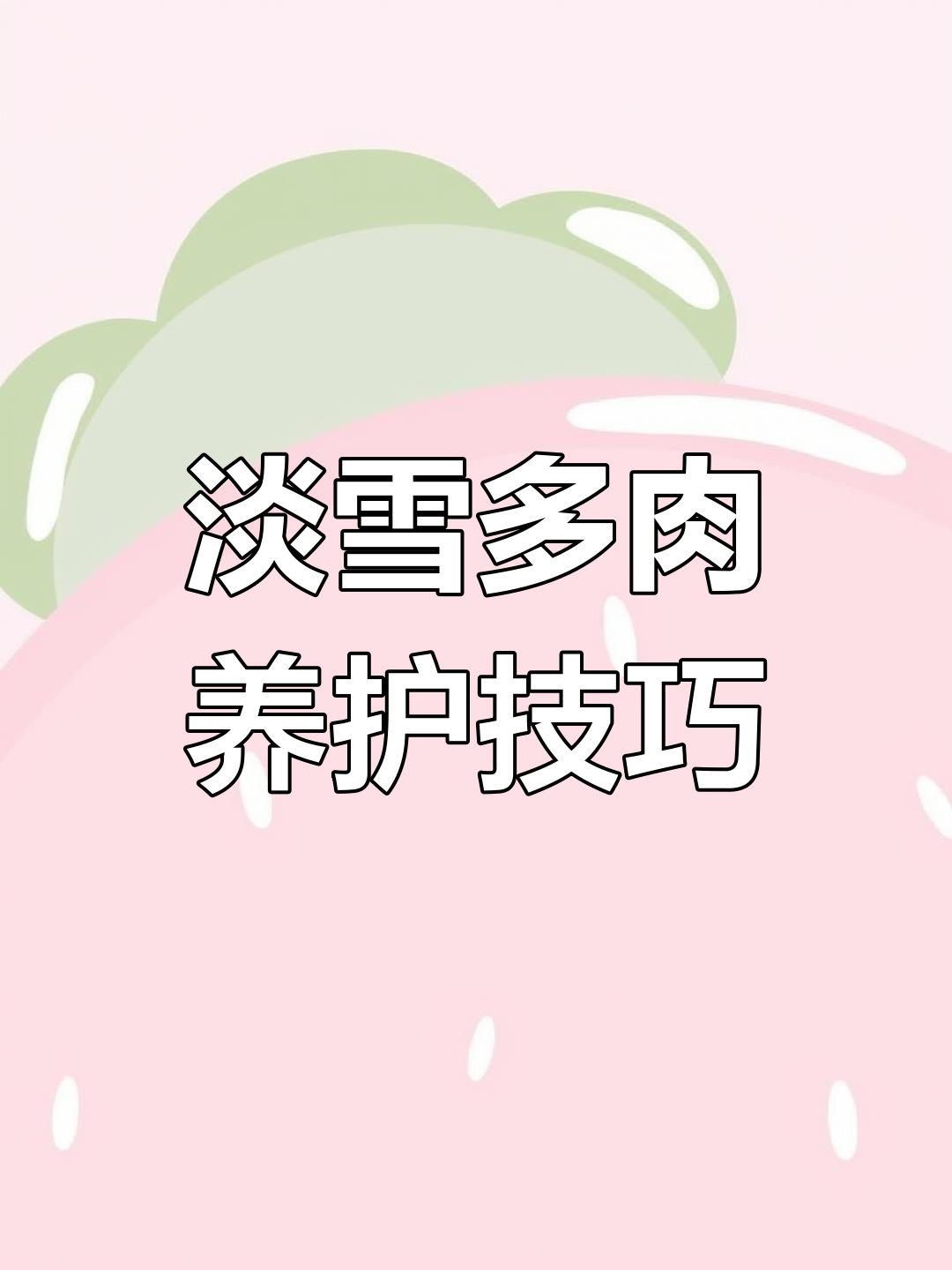 淡雪多肉养护全攻略:轻松出状态,露养更佳