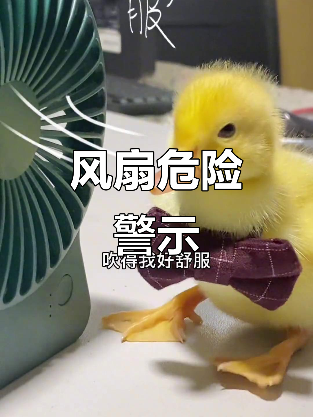 小黄差点被风扇割伤,幸亏姐姐及时制止
