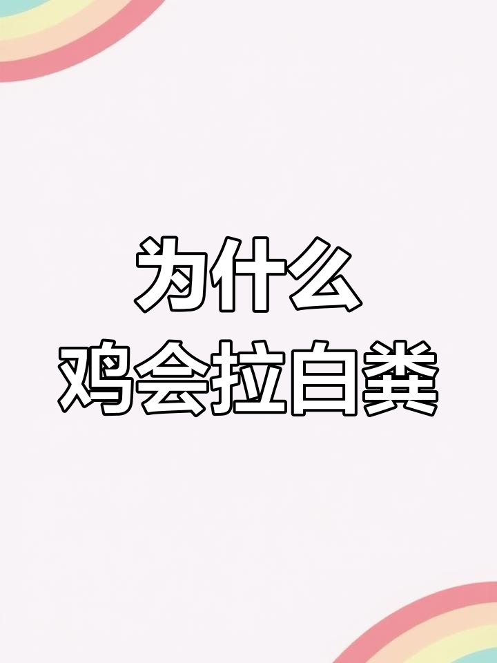 鸡拉白色粪便的原因分析,如何应对?