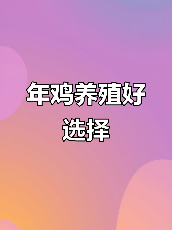灵山土鸡苗与清远麻鸡苗，适合家庭养殖创业