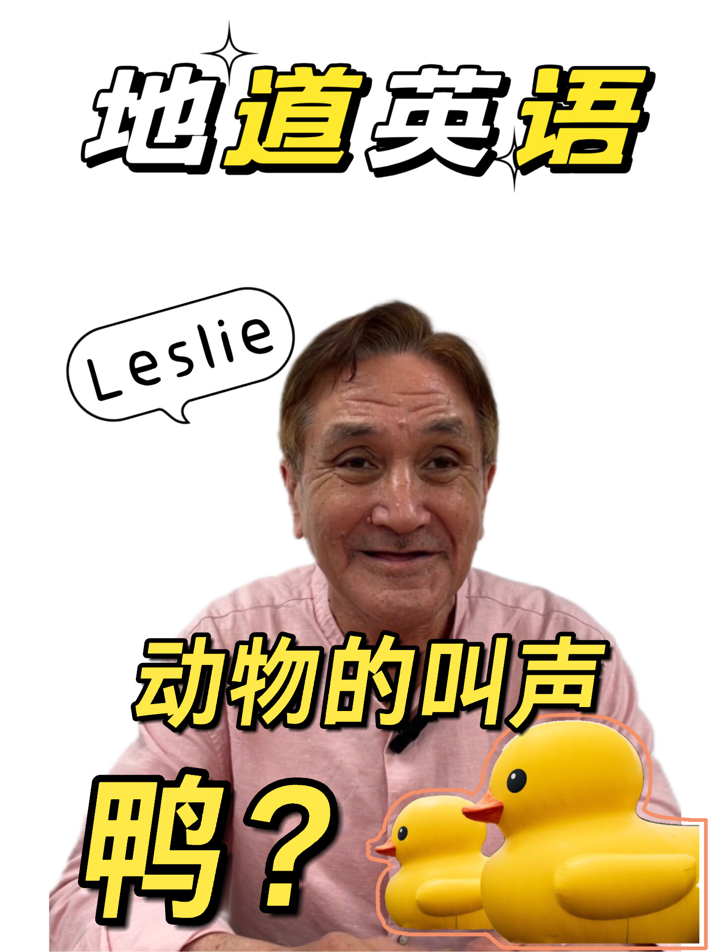 动物的叫声|鸭叫怎么说?