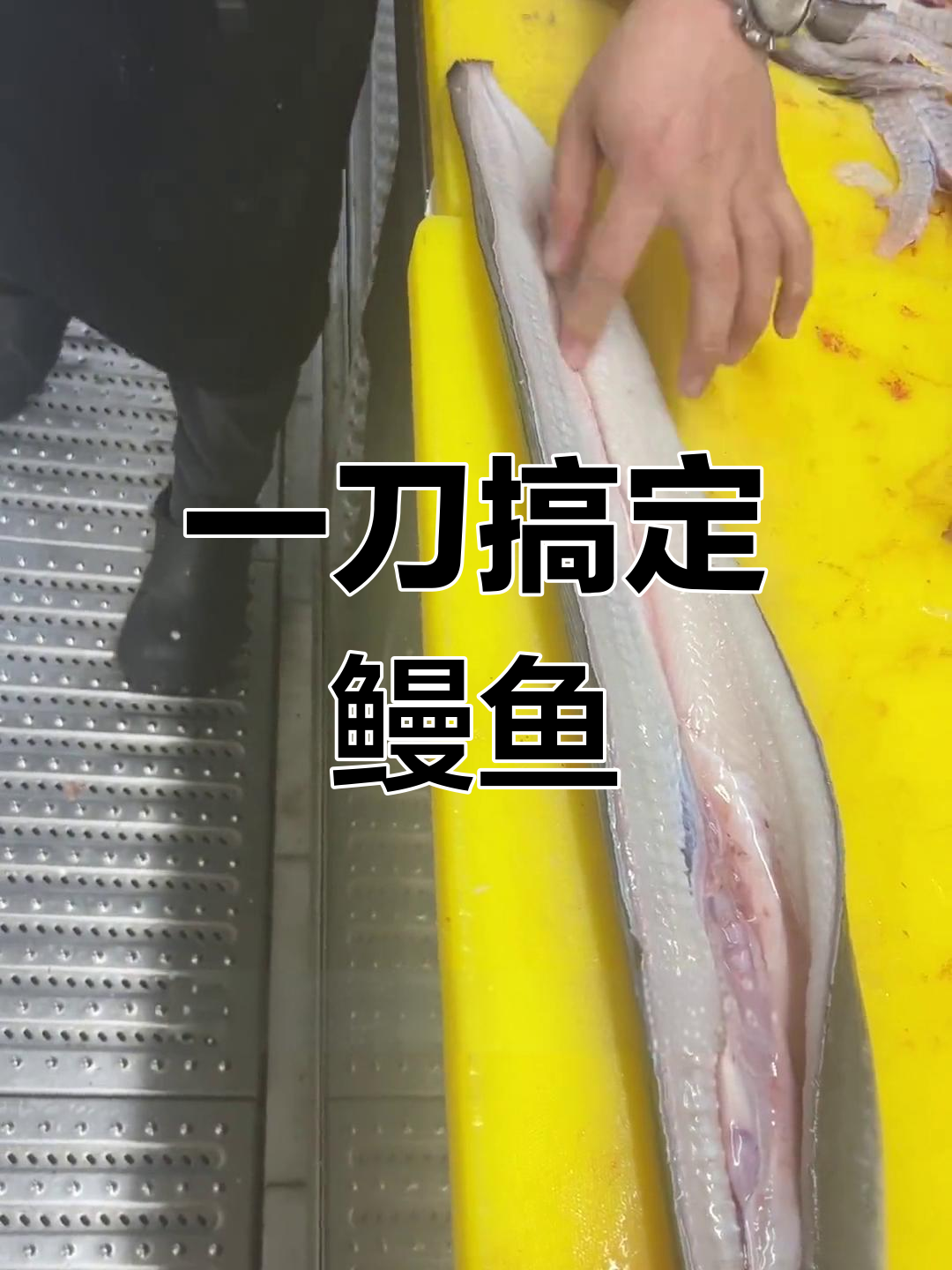 鳗鱼杀法技巧,快速又帅气