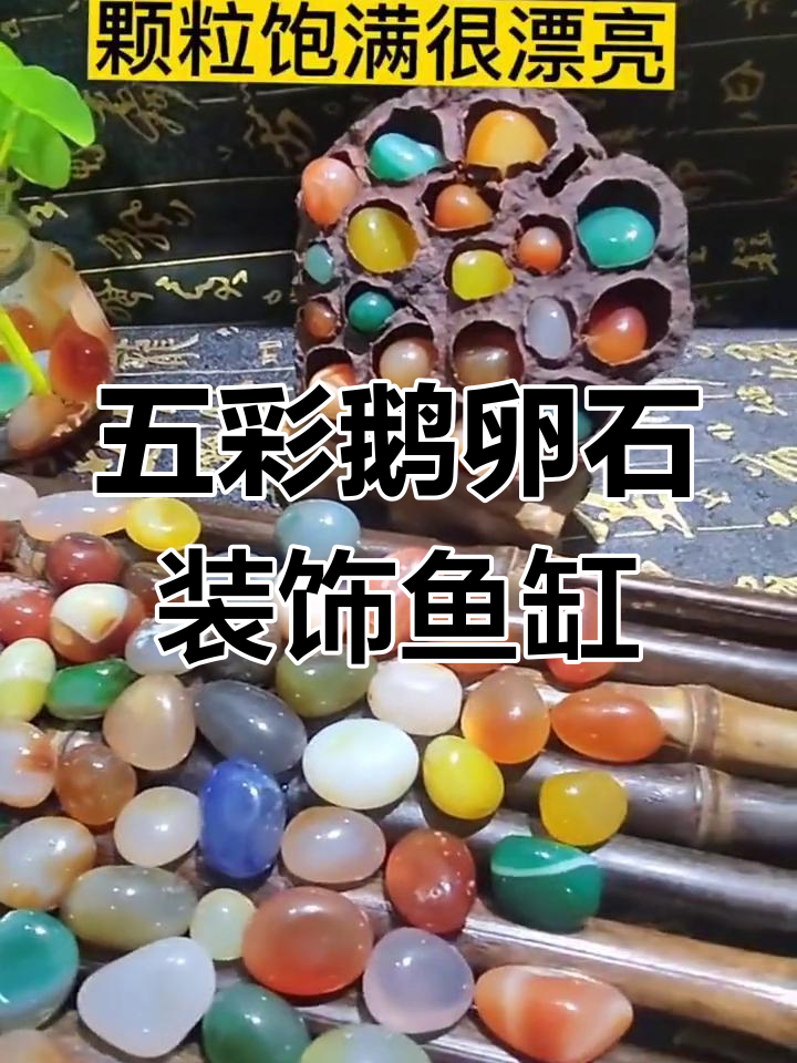 五彩鹅卵石打造盆栽鱼缸景观,美丽又实用