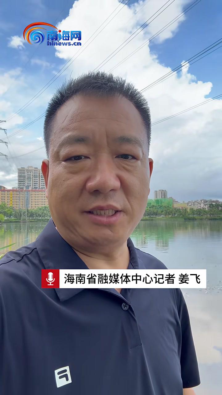 海口红城湖水面出现死鱼,水务部门现场调查原因 海口