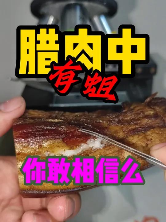 长蛆的腊肉你还敢吃么?显微镜下的世界 显微镜