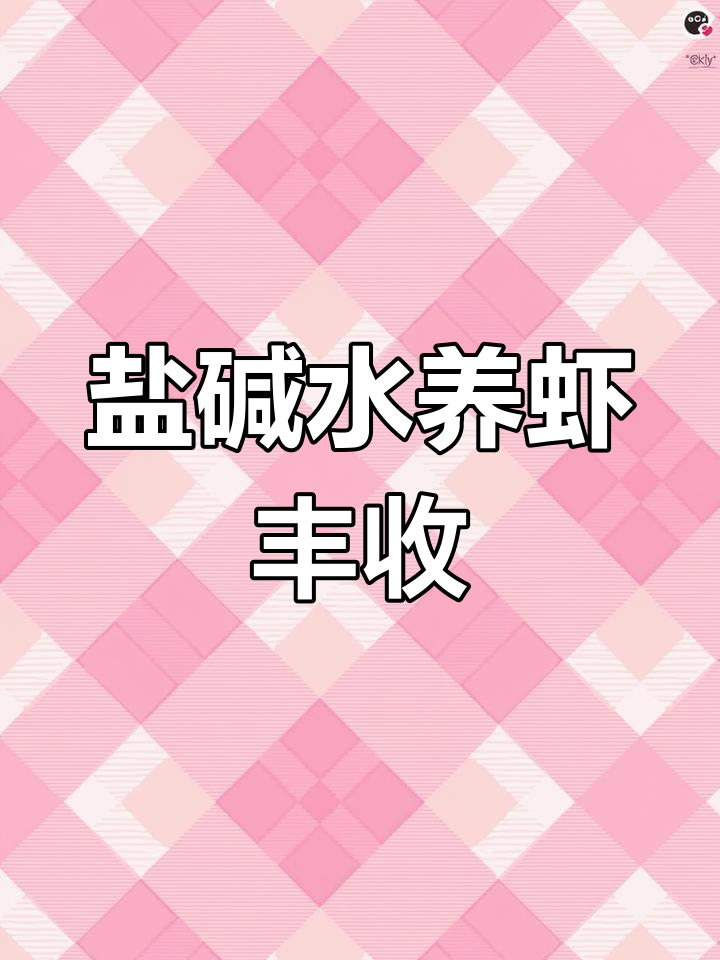 新疆阿拉尔市盐碱水养殖南美白对虾,鲜活美味上市