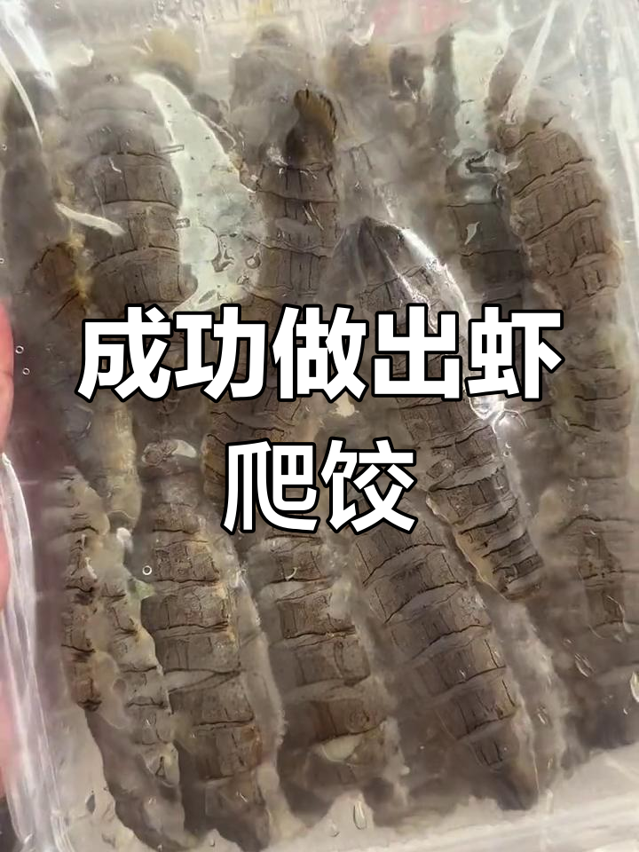 第一次尝试虾爬馅饺子,鲜美无比
