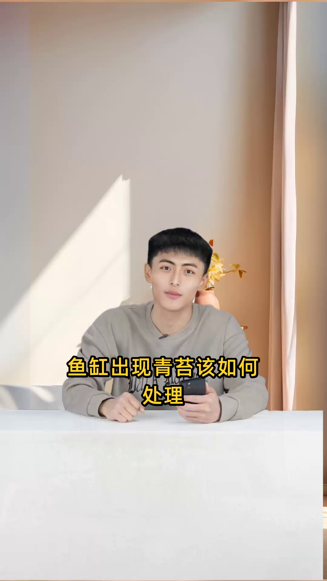 鱼缸长青苔怎么办?教你几招轻松处理的小妙招