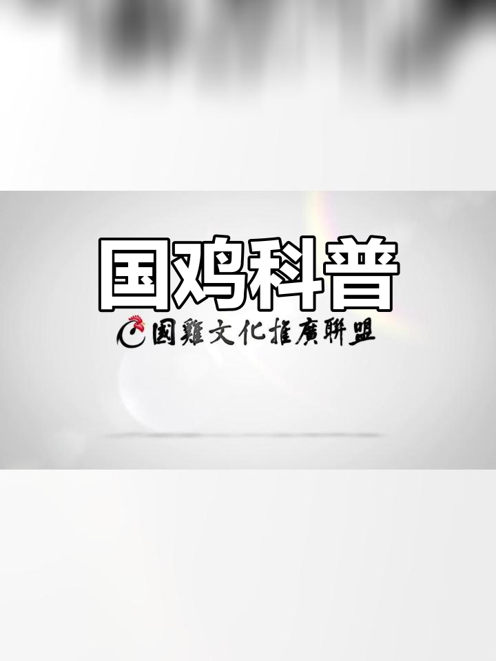 了解国鸡品种,涨知识!