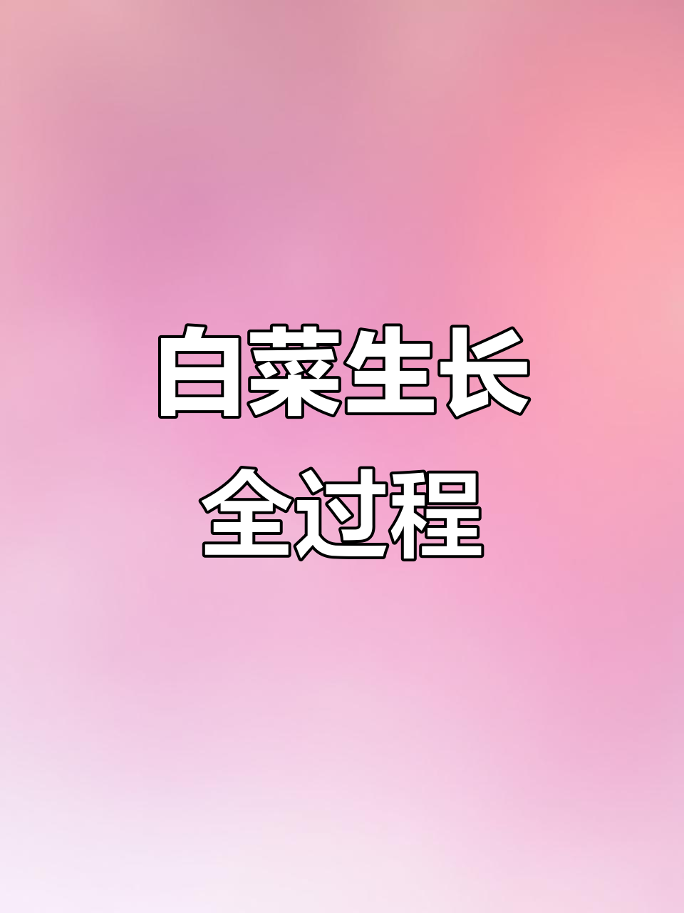 你见过白菜发芽吗？从种子到嫩苗的成长过程大揭秘
