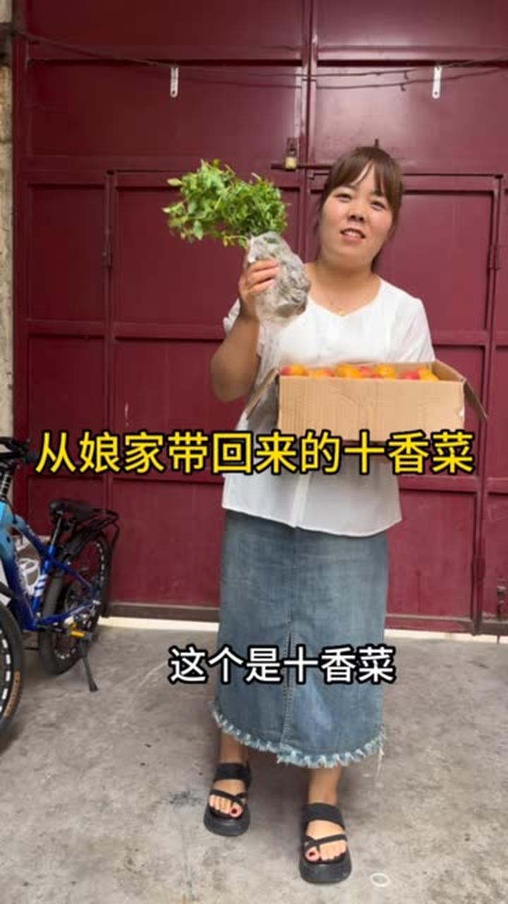 从娘家带回来的十香菜,老周竟然说他从小到大都没有吃过