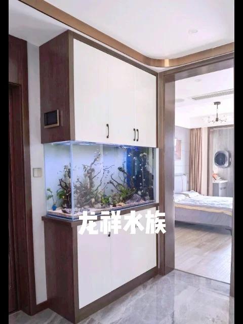 入户玄关柜嵌入式鱼缸设计案例 鱼缸设计