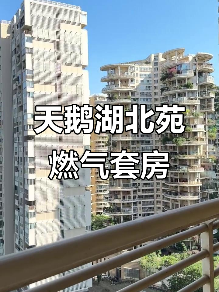 金融城天鹅湖北苑,燃气套一房带大阳台