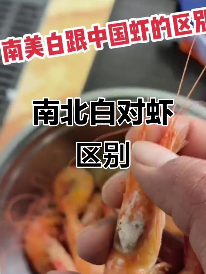 南美白对虾与大参的区别,你了解吗?