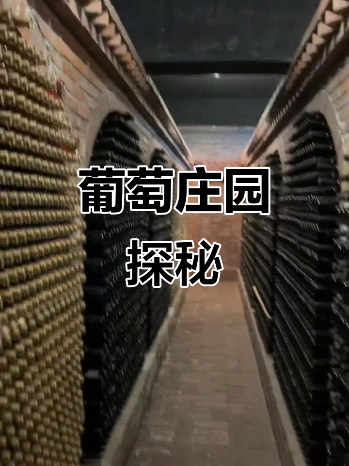 宁夏葡萄酒庄，品酒、露营一网打尽！