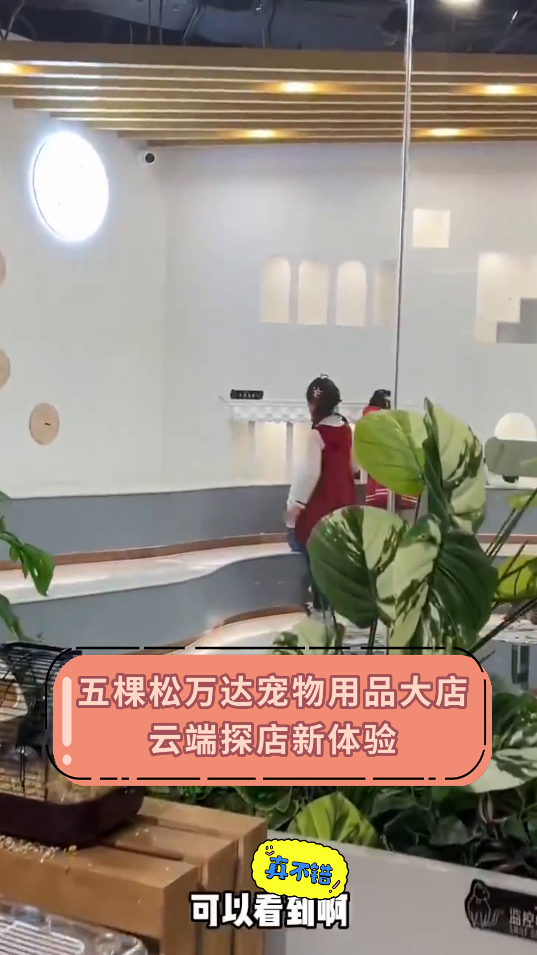 五棵松万达宠物用品大店云端探店新体验
