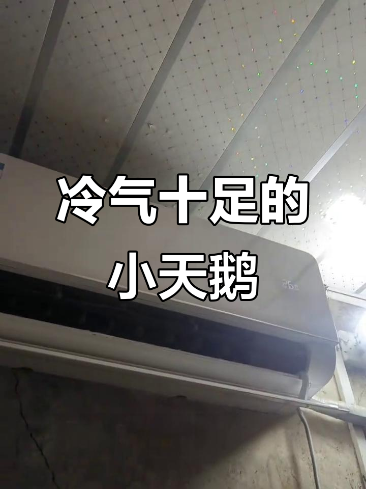 小天鹅空调冒白烟,制冷效果超乎想象
