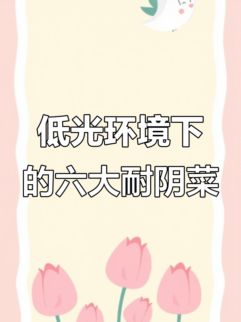 光照不足也能种!这6种耐阴蔬菜最适合阳台种植