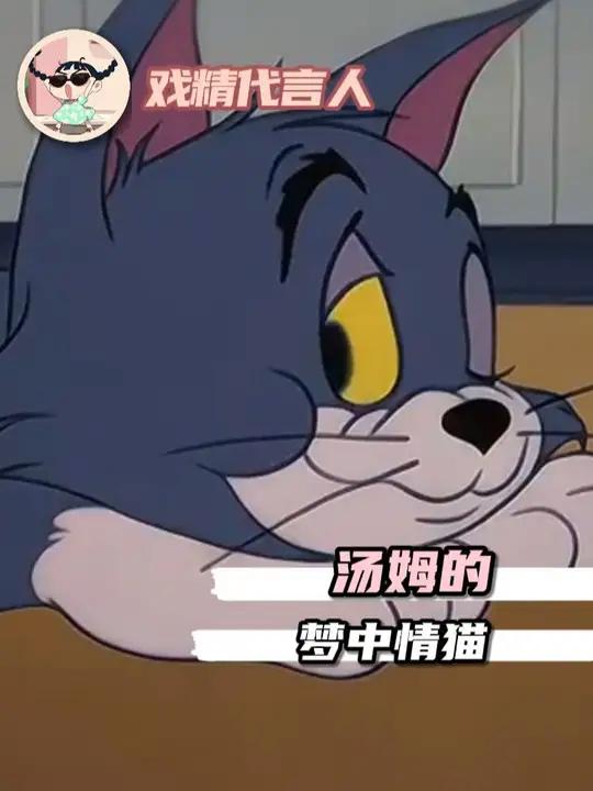 看了汤姆的梦中情猫,才发现他被玩弄于股掌之间不是没有道理的～