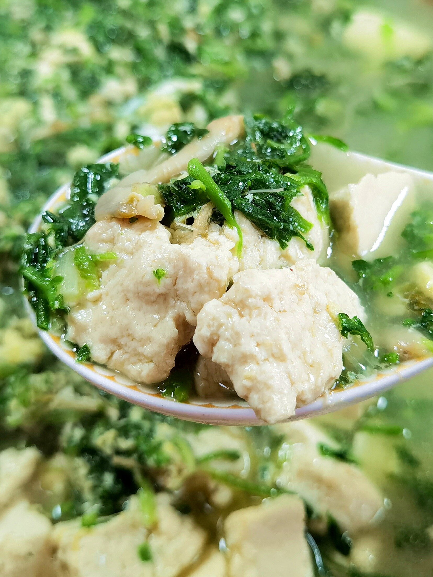 荠菜豆腐汤,春天不能错过的美味!营养解馋