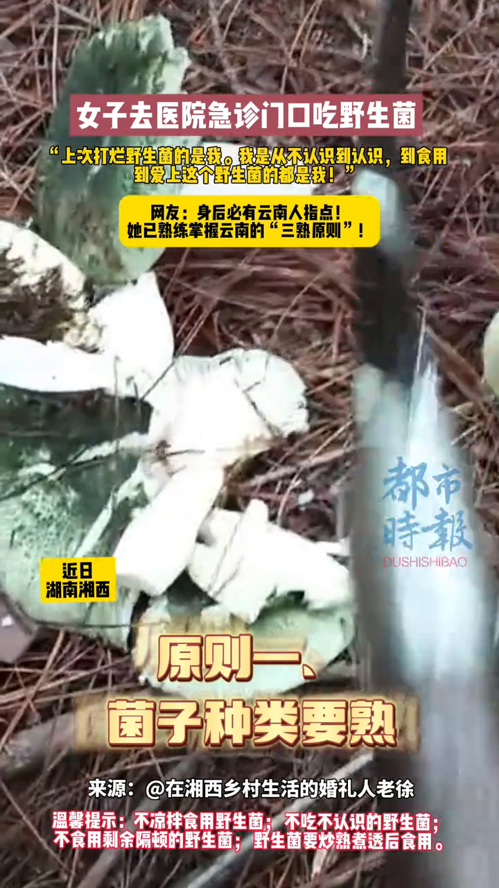 女子去医院急诊门口吃野生菌 网友:身后必有云南人指点!
