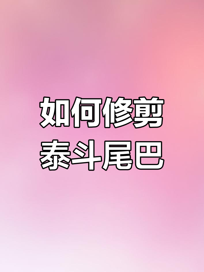 泰国斗鱼烂尾处理技巧