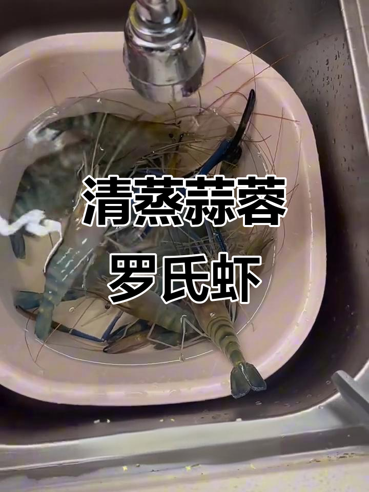 蒜蓉清蒸罗氏虾,鲜香十足!做法超简单