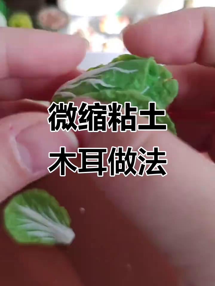 微缩粘土白菜制作教程,简单步骤教你做蔬菜手工