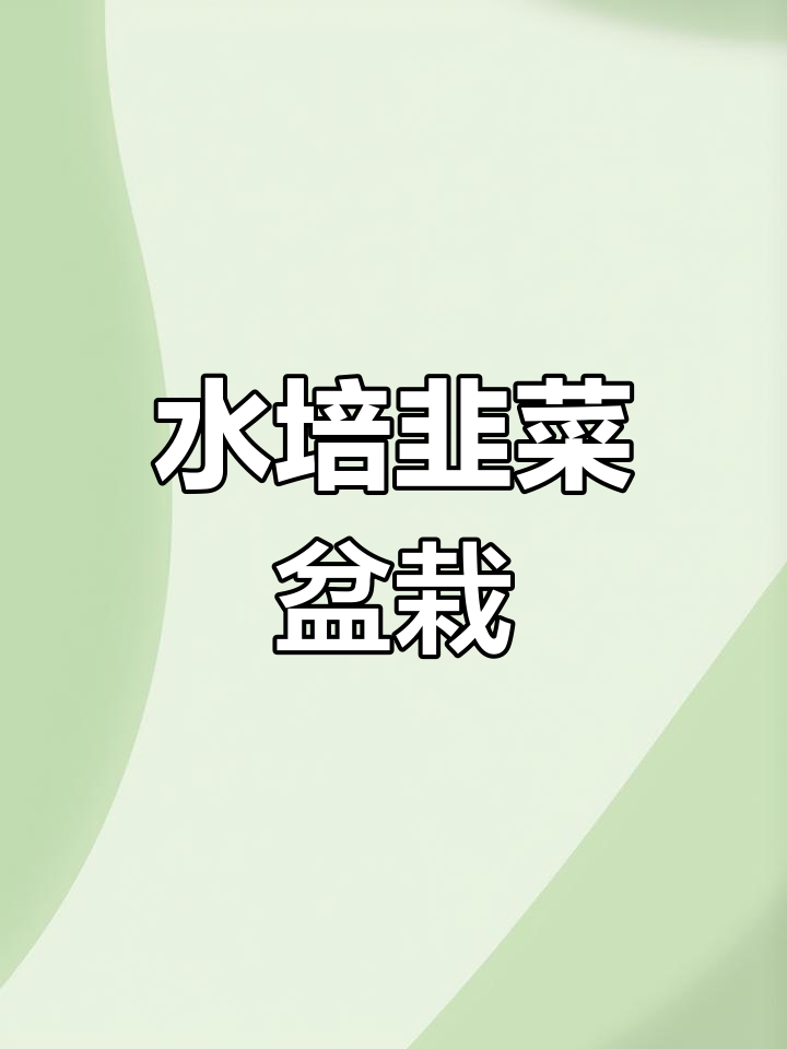 韭菜根盆栽,轻松种植,割了就吃!