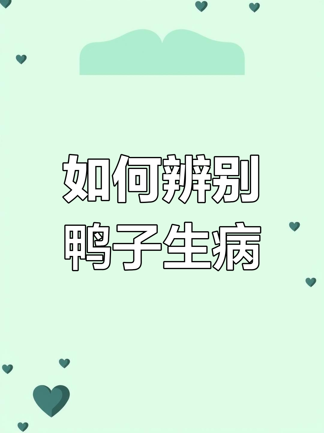 鸭病快速识别技巧,五种常见疾病判断方法