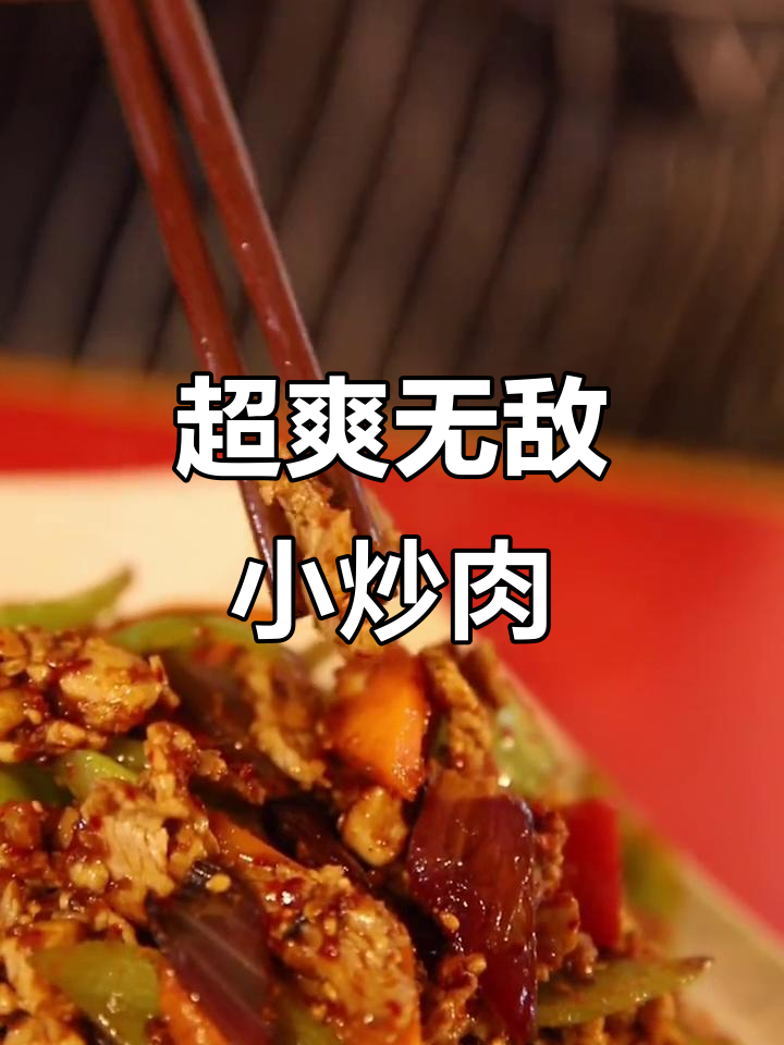升级版无敌小炒肉,配菜调味全搞定