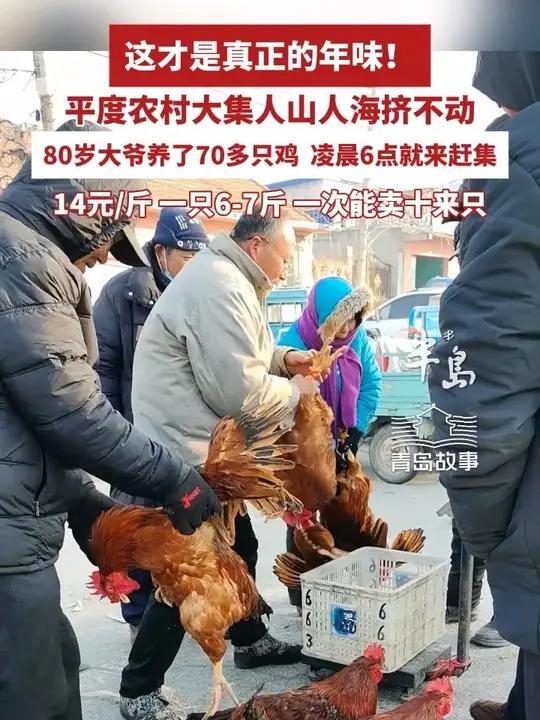 青岛平度农村大集挤到走不动，80岁大爷凌晨6点出摊卖鸡青岛故事年味农村大集（半岛全媒体记者