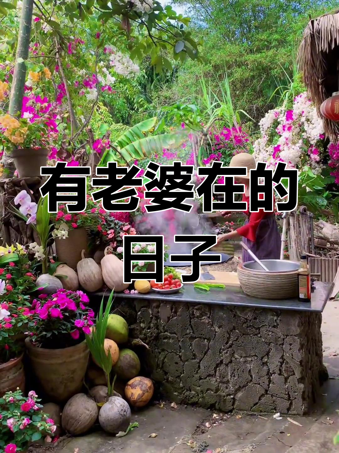 海南篱笆岛的诗意与烟火,老婆在的日子更美好