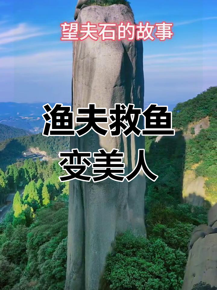 海王与石斑鱼的传说