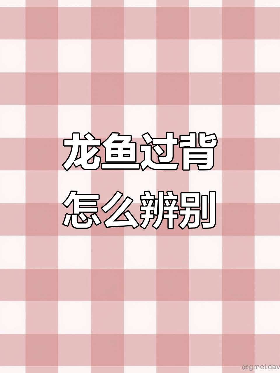 龙鱼过背鳞片变色的秘密,如何判断是否属于过背品种