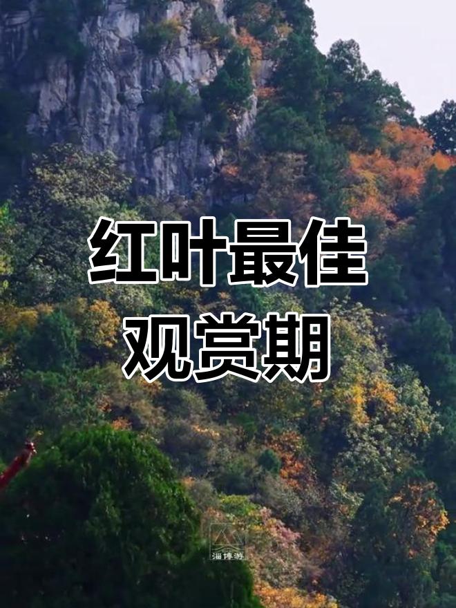 淄博沂源凤凰山:红叶秋景与电影拍摄地