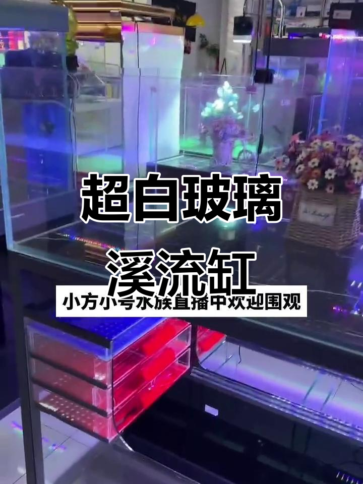 溪流缸设计揭秘:两款超白玻璃鱼缸的过滤与蓄水系统
