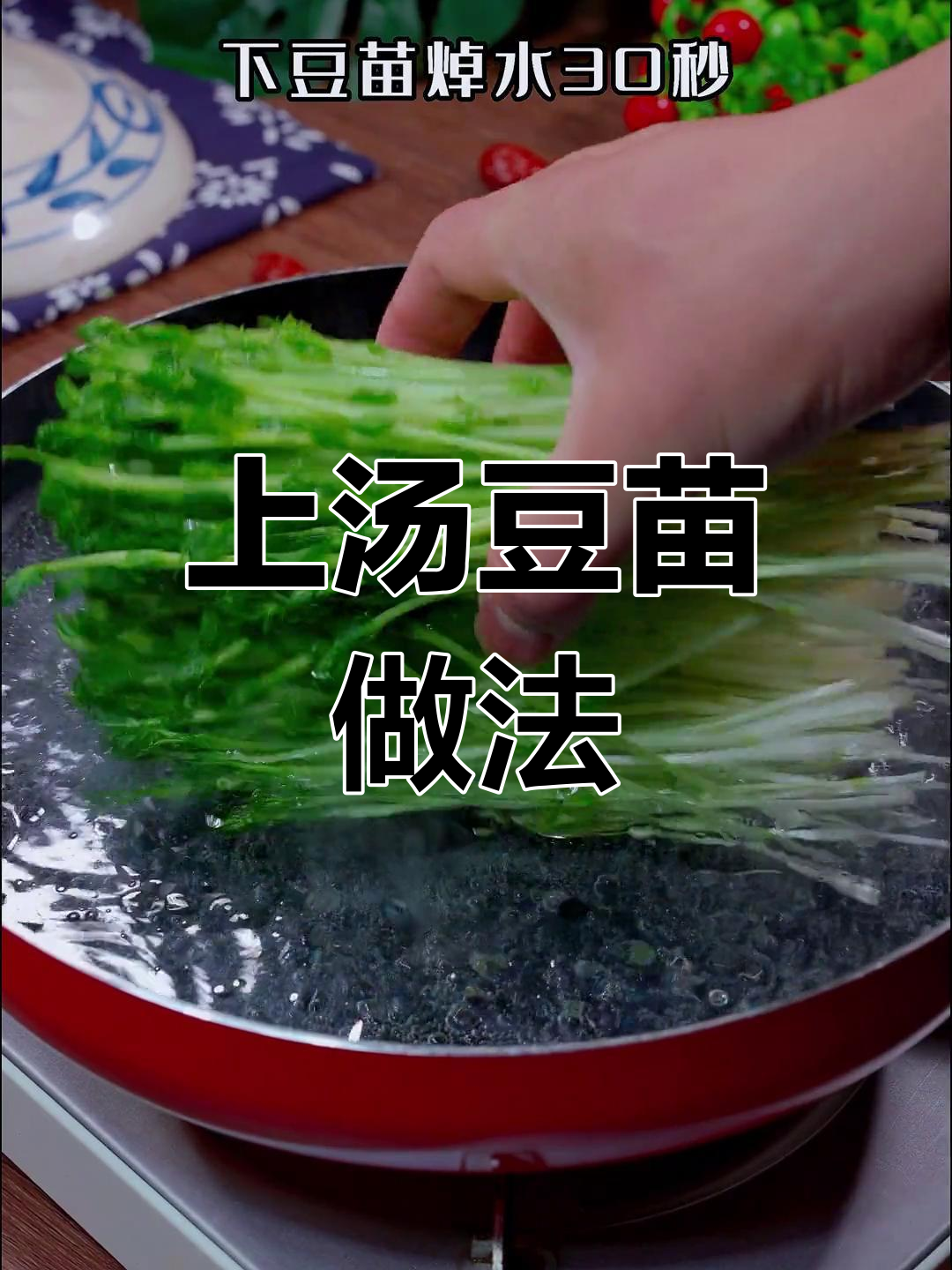 春季豆苗上汤,皮蛋瘦肉搭配最美味
