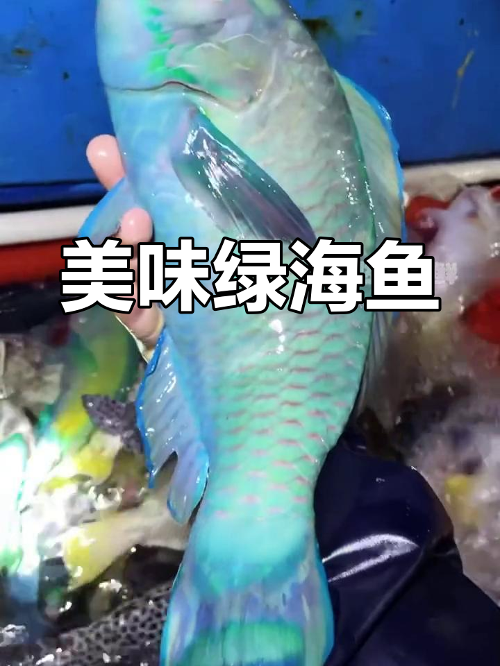 绿色海鱼,鲜嫩可口,老少皆宜