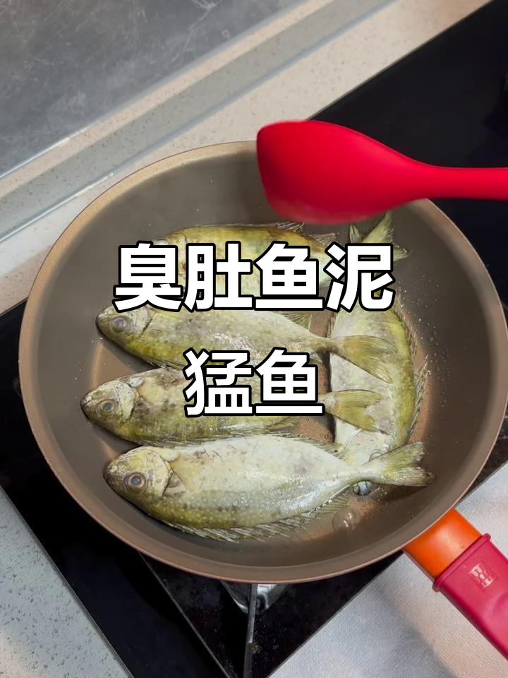 臭肚鱼泥猛鱼的简单做法,轻松煎出完美口感