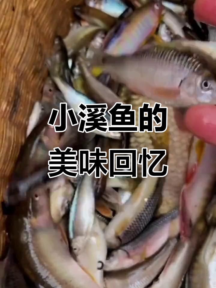 怀念那口小溪鱼的滋味,配酒更是一绝!