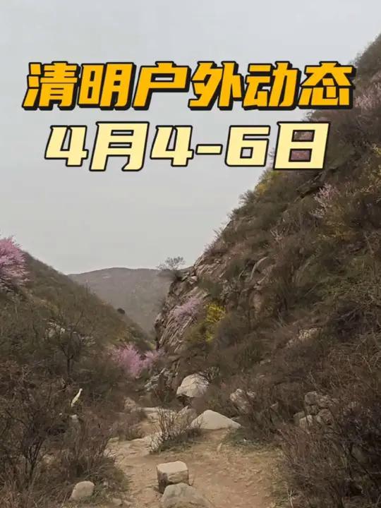清明户外动态 青山封不住,毕竟路很多。这个清明节你打算去什么地方踏青爬山呢?有满山的白鹃梅