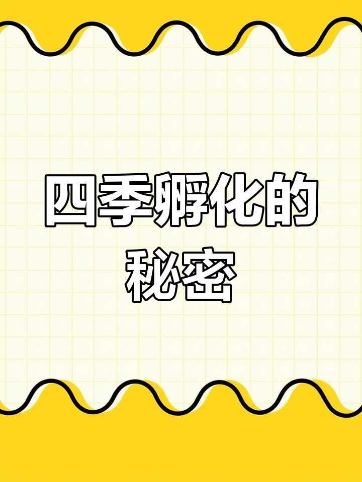 一年四季都能孵化,番鸭蛋照蛋技巧全揭秘