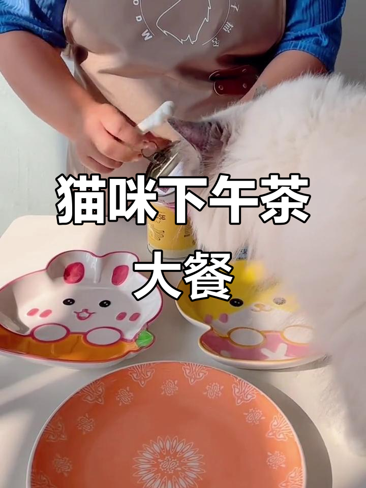 小猫咪的下午茶时光，享受皇家奶罐与宠物芝士球的完美搭配