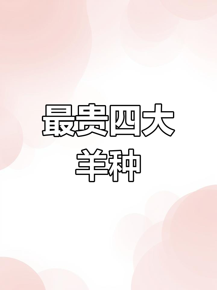 揭秘四种最昂贵的羊,特克塞尔、瓦格吉尔等品种价格惊人