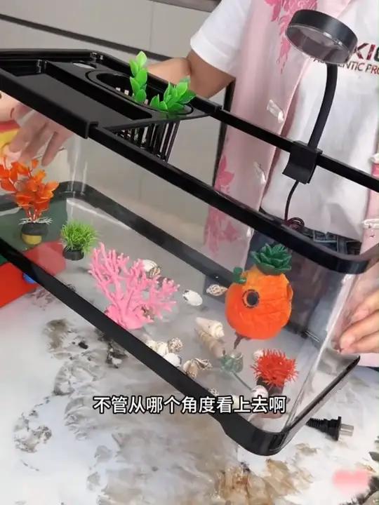 喜欢养鱼，养龟的就用这个360度全景生态大鱼缸，放在家里真的超好看