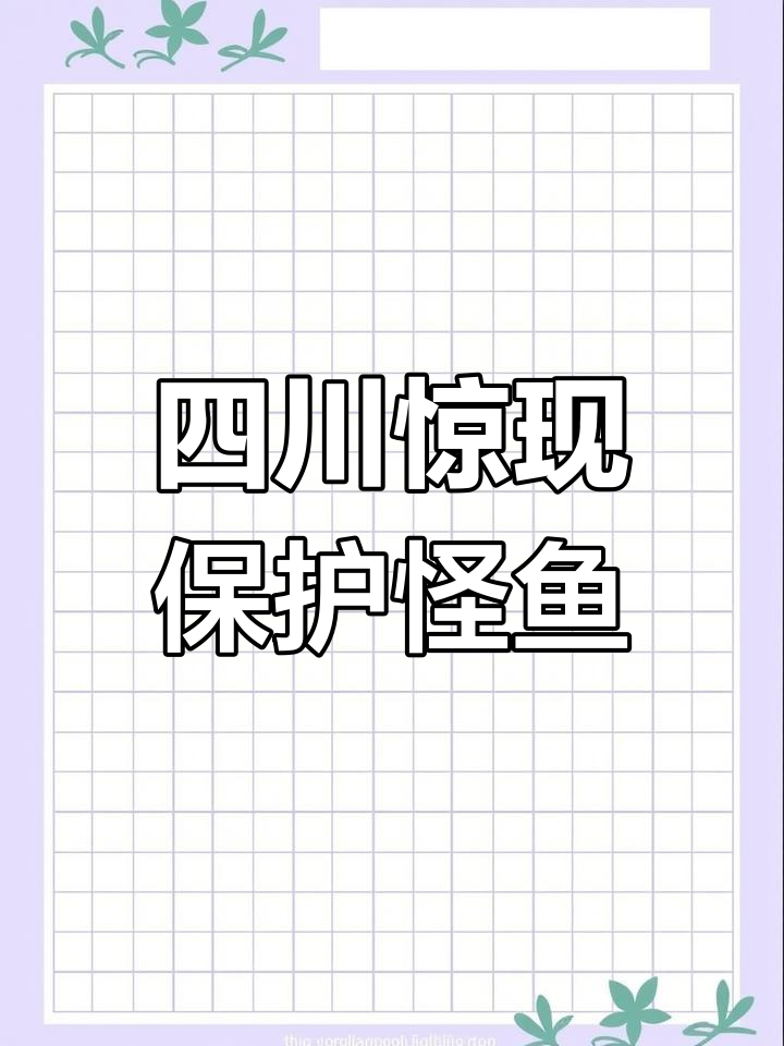 四川泸州村民发现罕见“怪鱼”,竟是受保护的珍稀动物