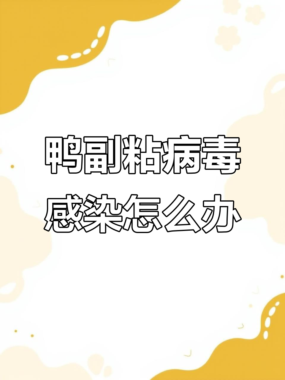 鸭子副粘病毒症状与防治方法,养殖人必看